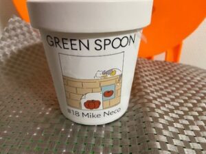 Green Spoon　スムージー　口コミ