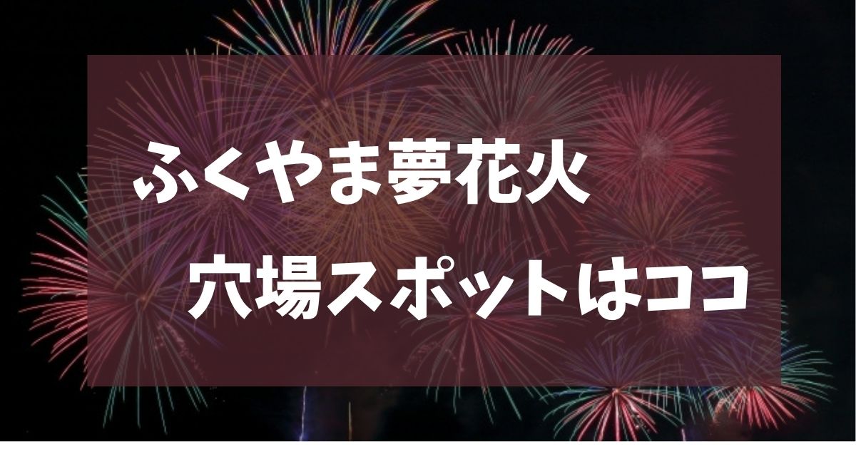 ふくやま夢花火 2025　穴場